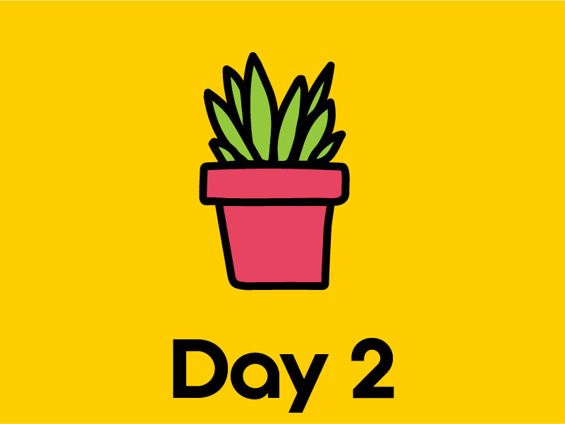 kindness challenge day two